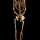 The full skeleton of the crucified man.